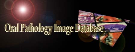 OralPathDataBase.jpg (11754 bytes)